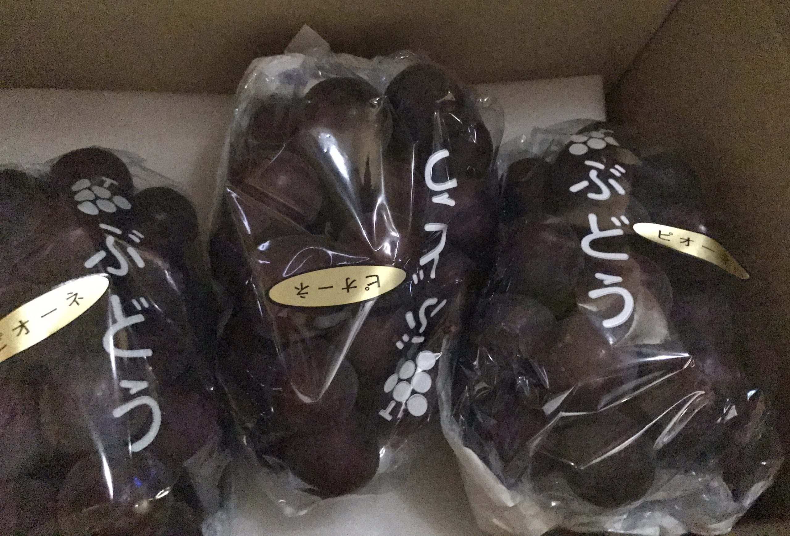 美味しい葡萄