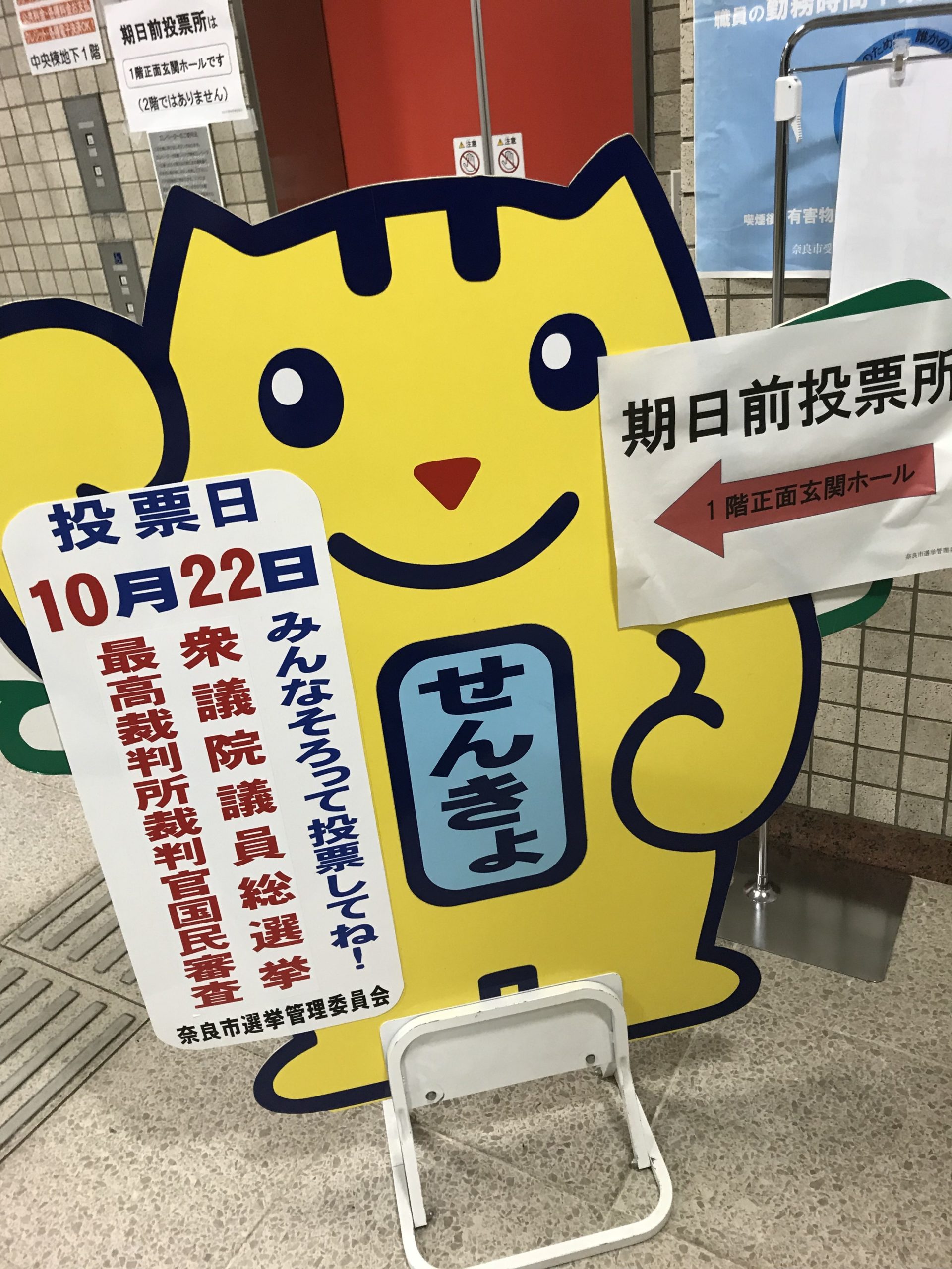 衆議院議員選挙