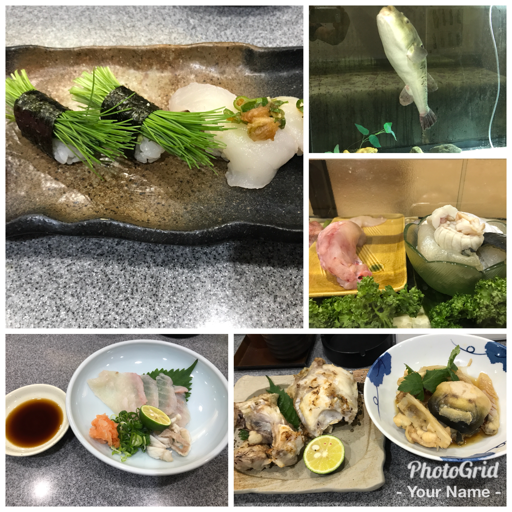 今年初フグ