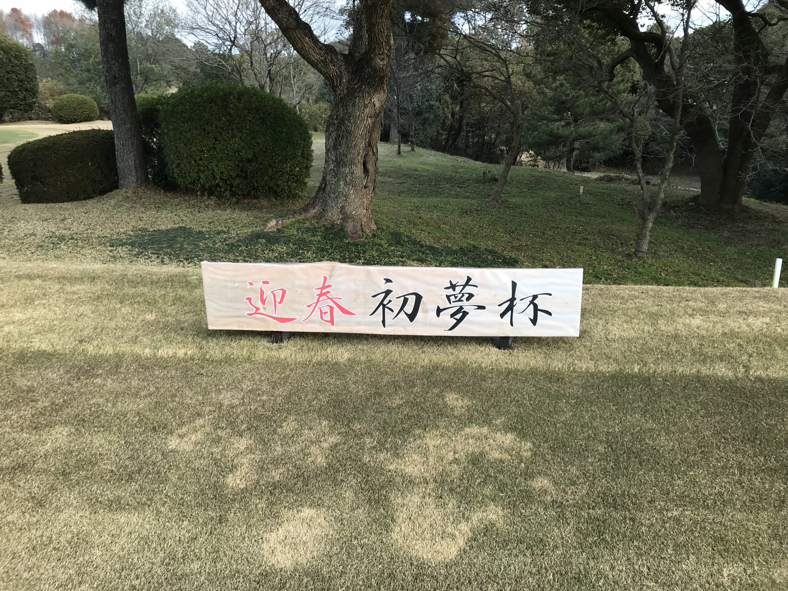 新年の診察
