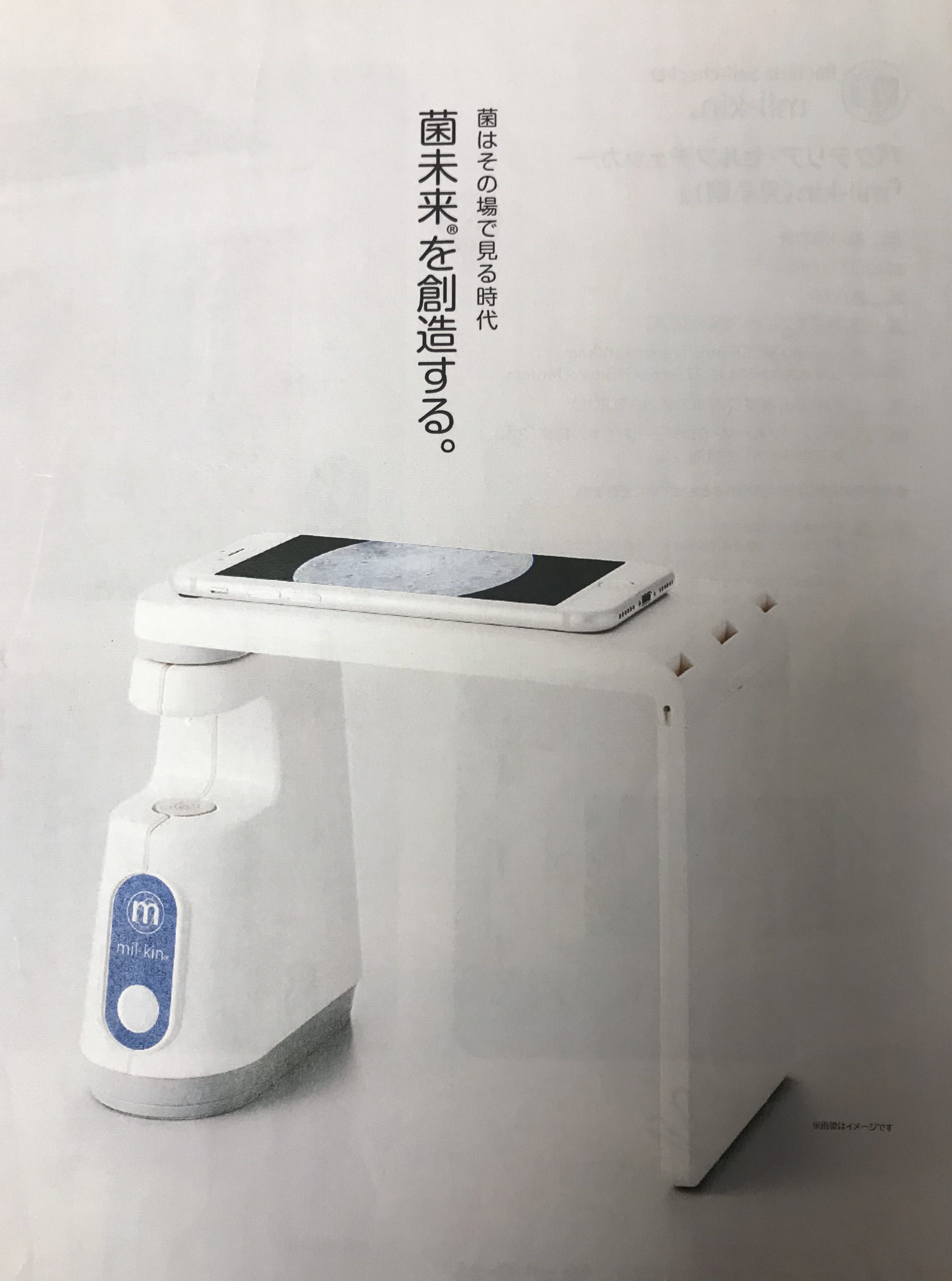 口腔内細菌