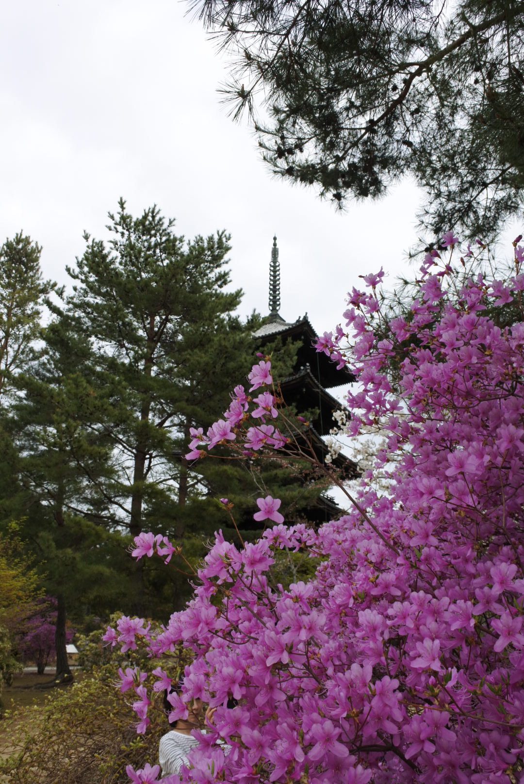 仁和寺