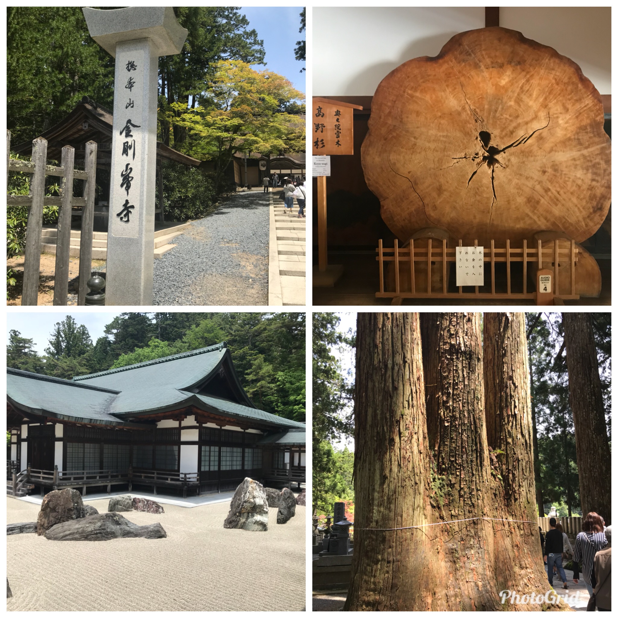 高野山