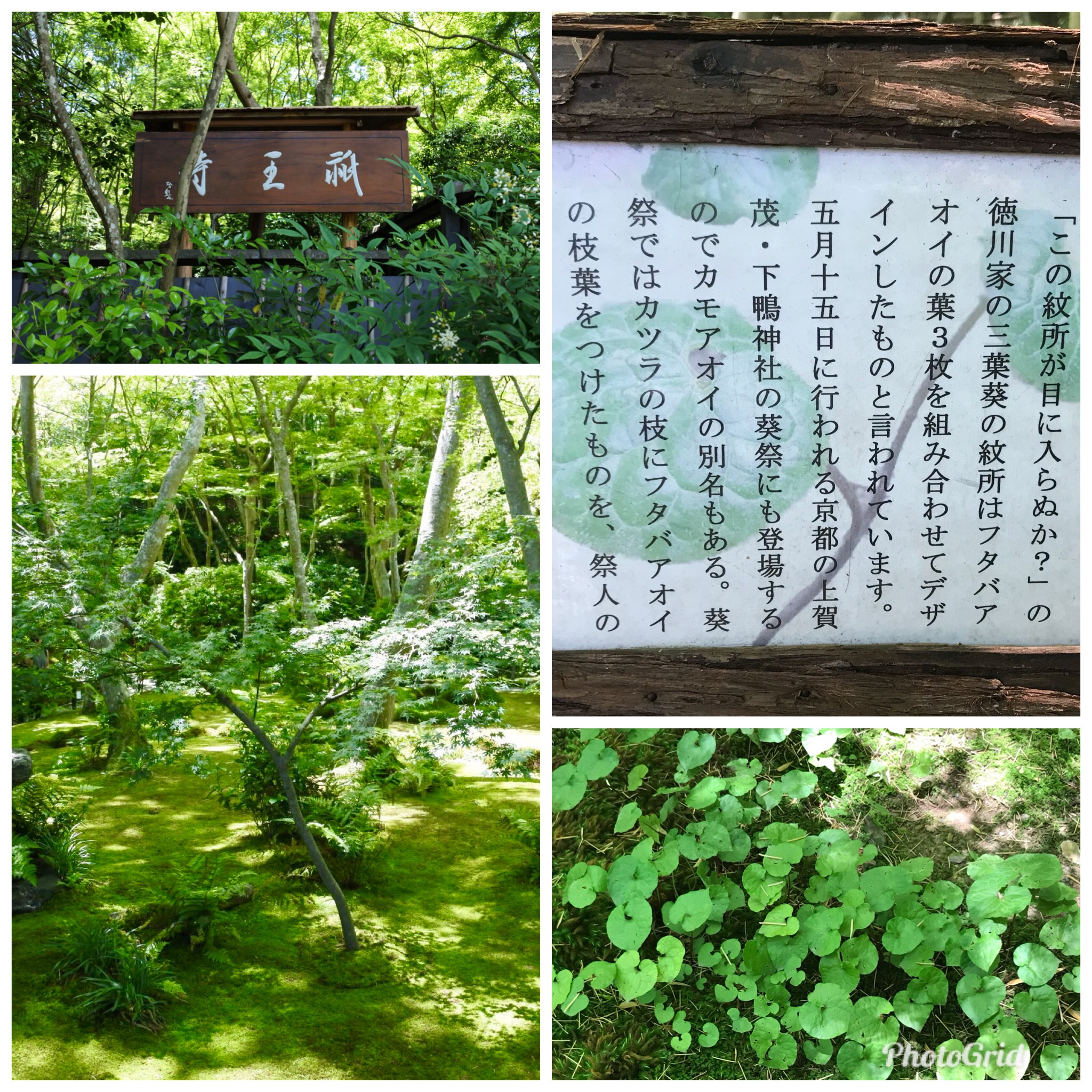 祇王寺