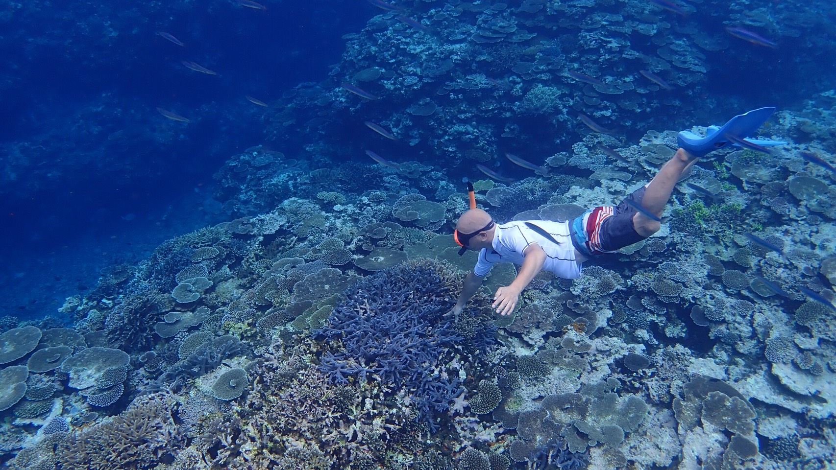 沖縄