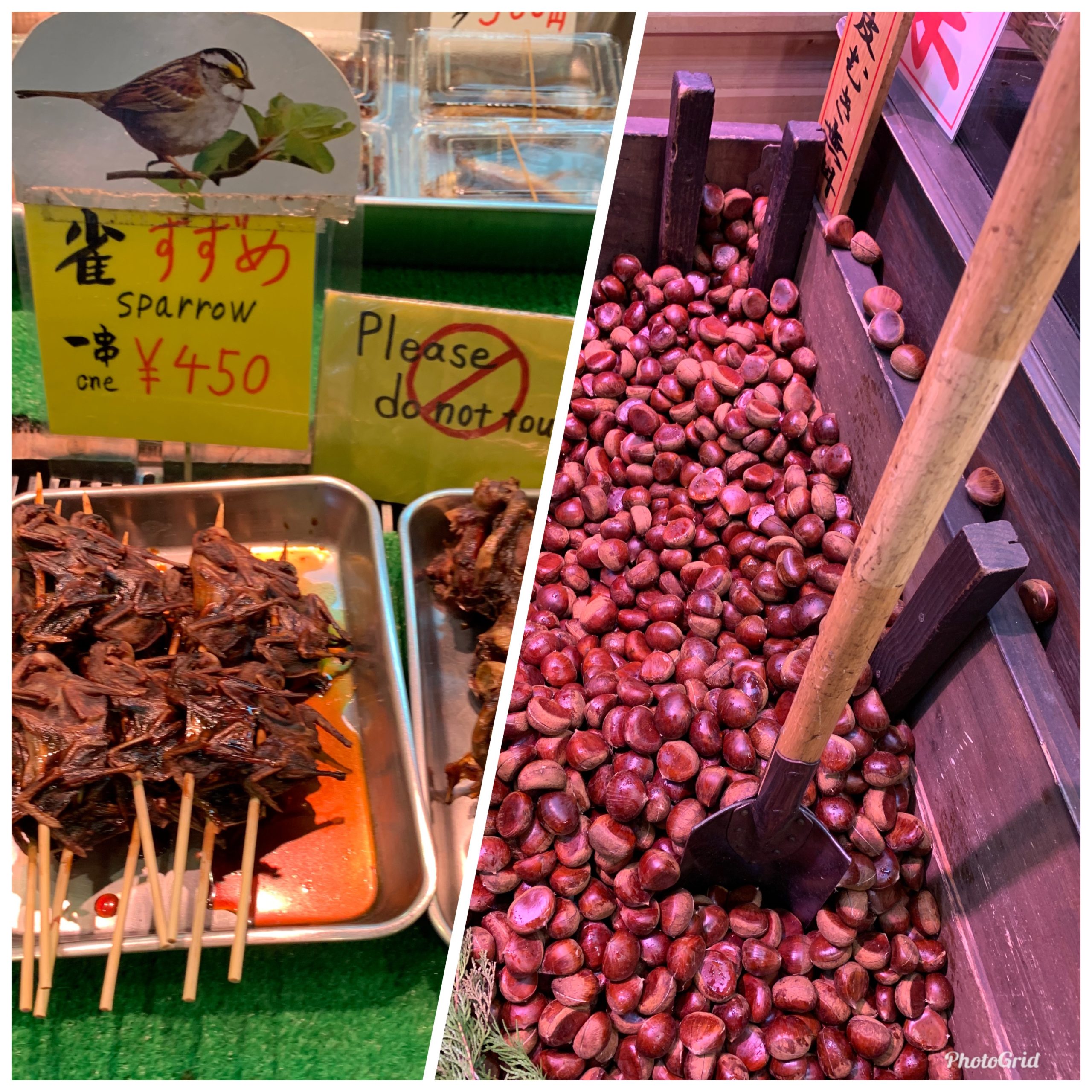 京都  錦市場