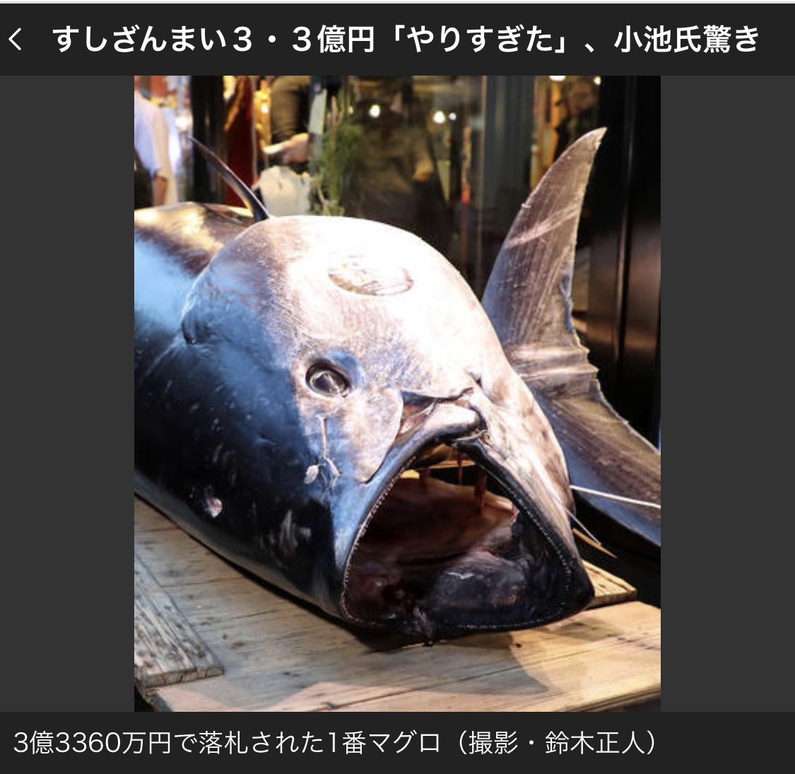 豊洲新市場初競り