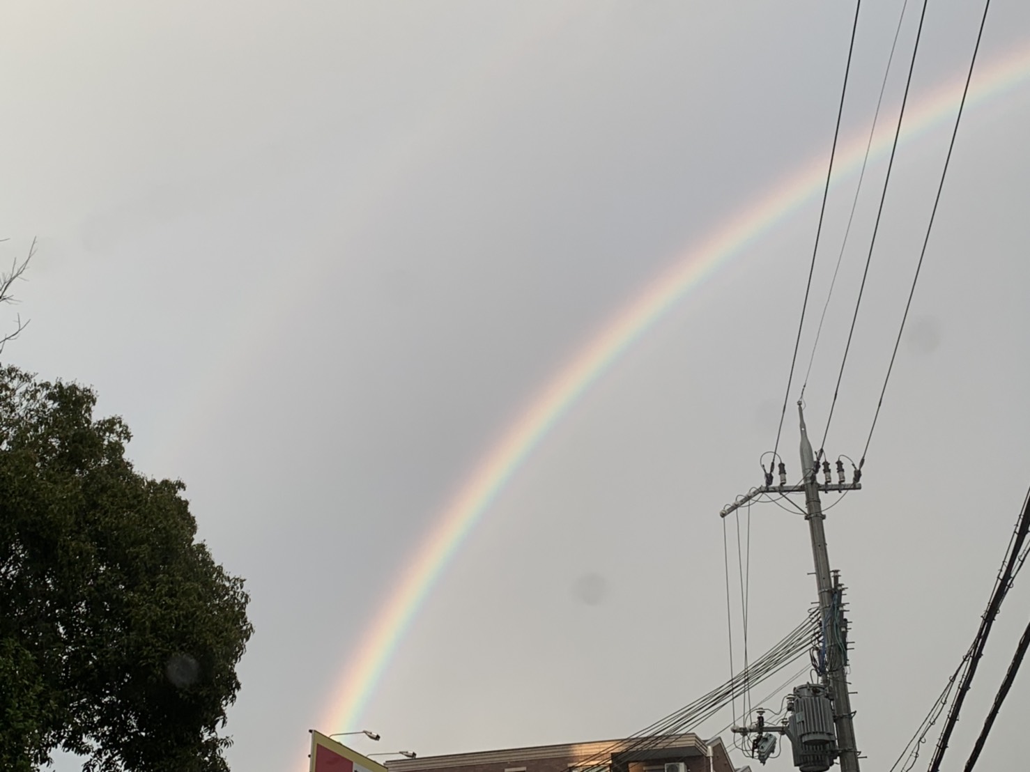 虹