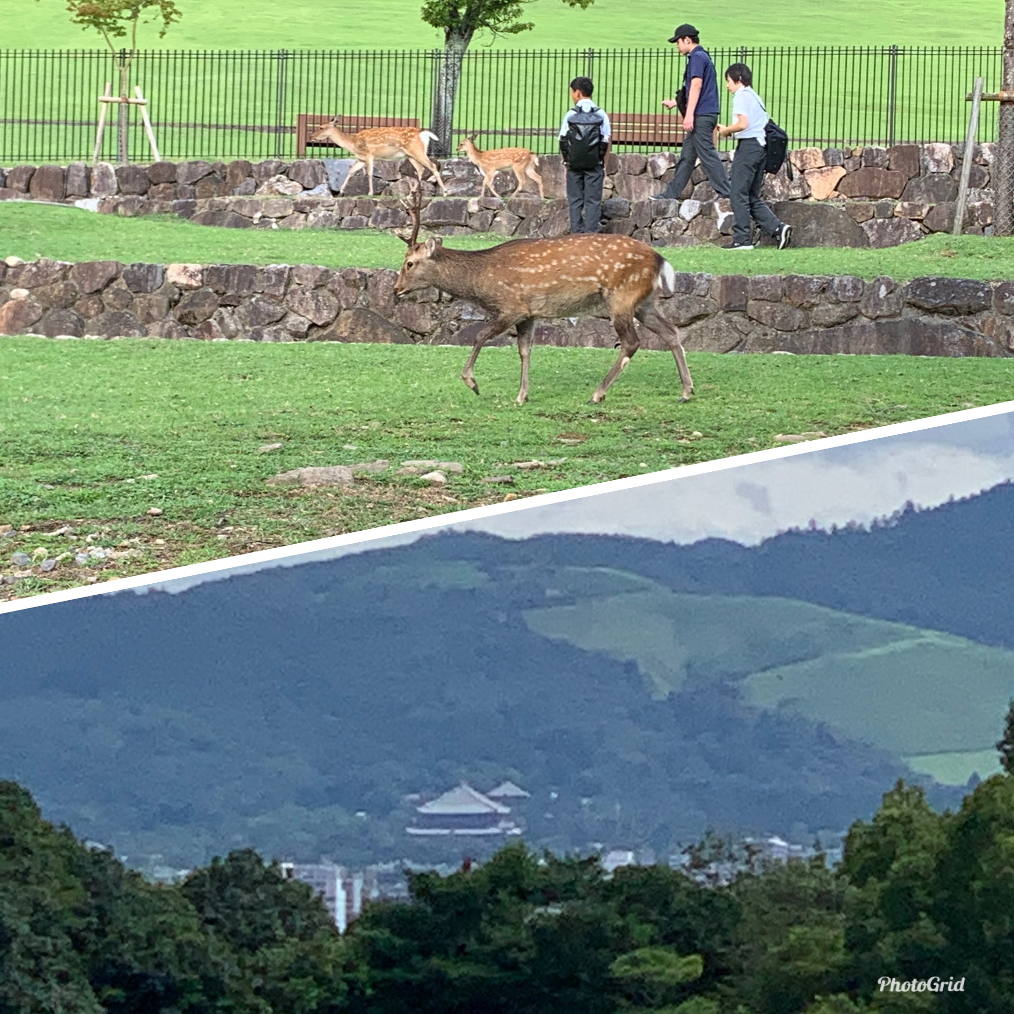 奈良市若草山