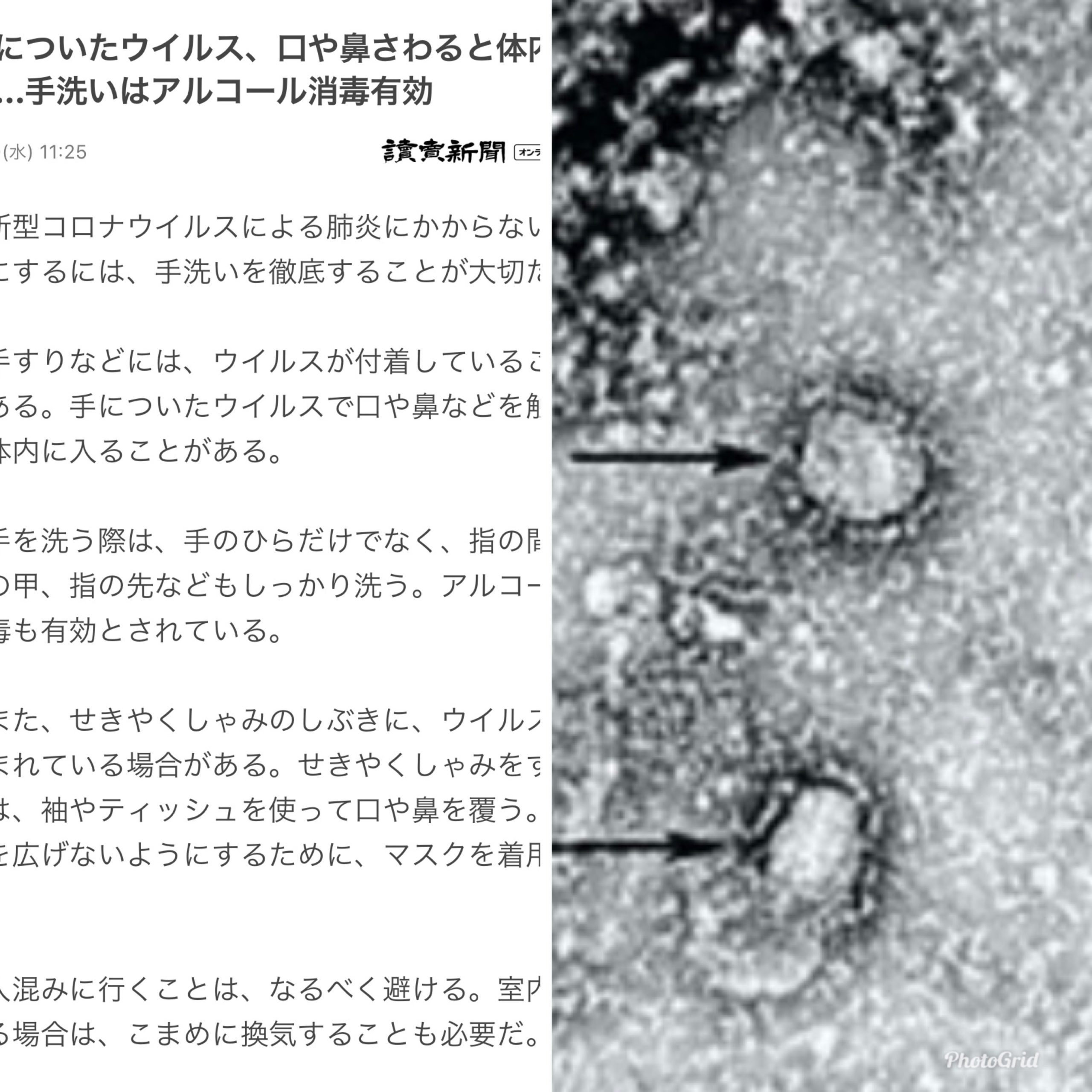 新型コロナウイルス