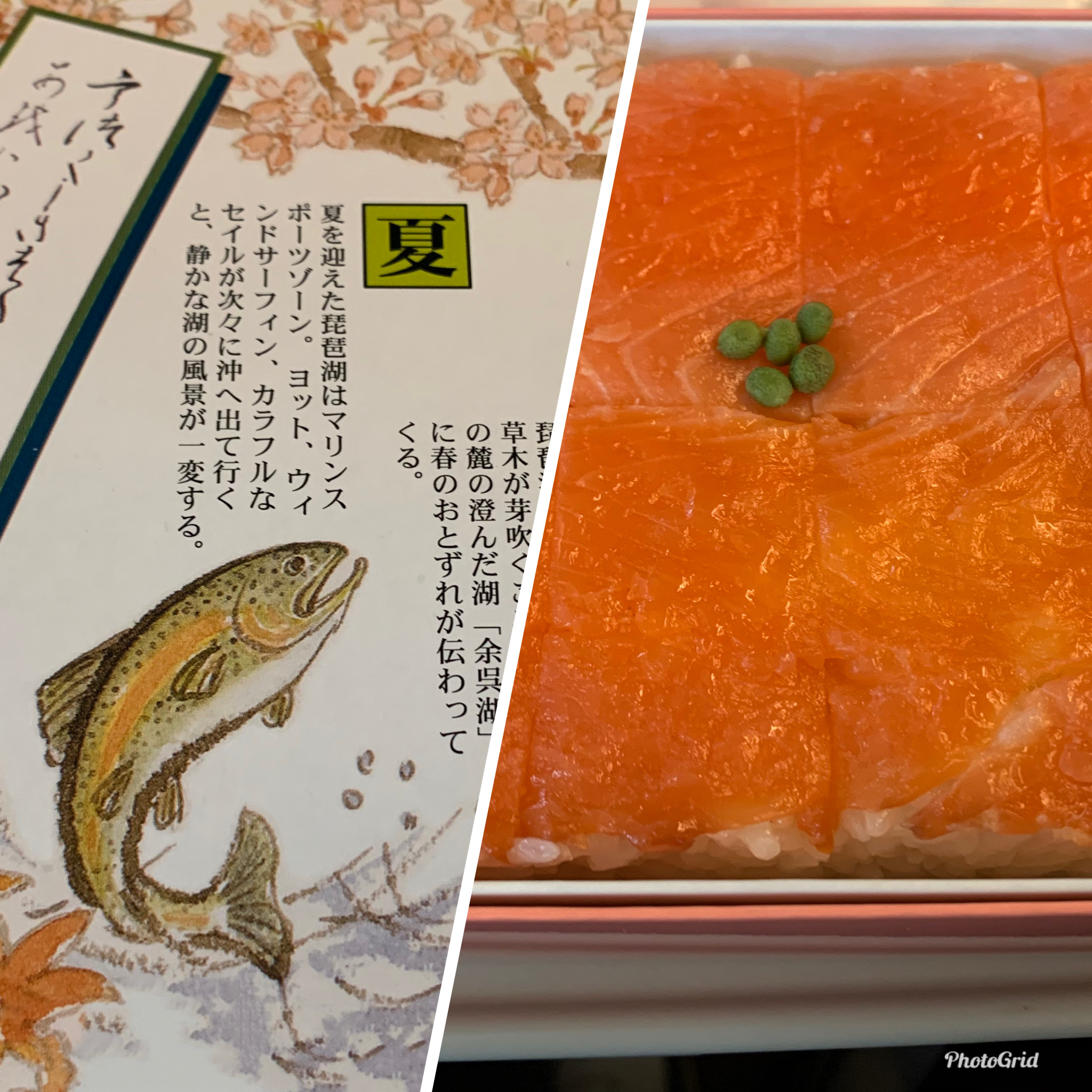 ます寿司