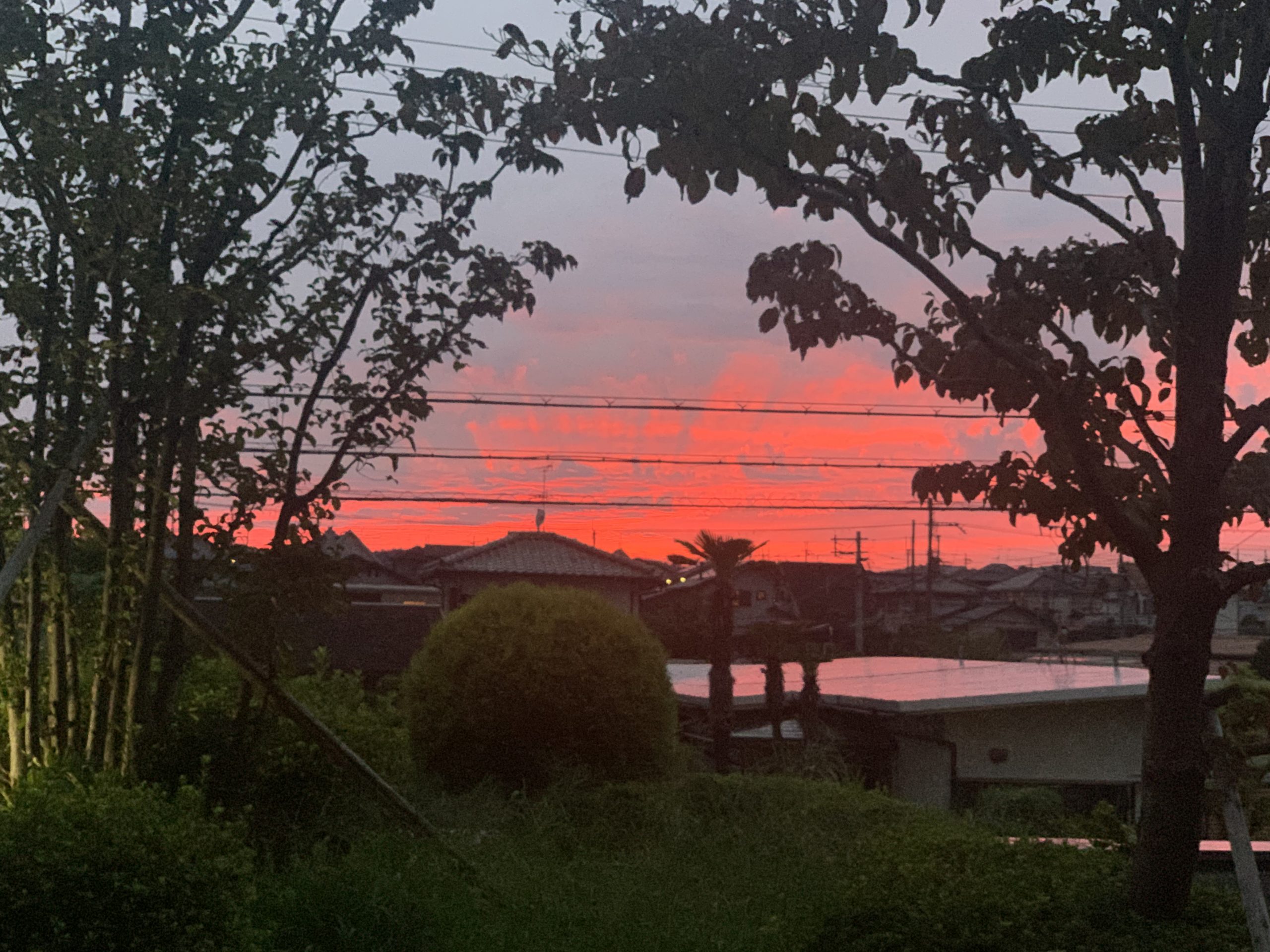 綺麗な夕焼け